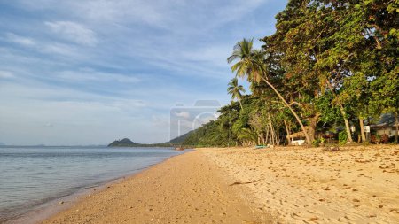 Téléchargez les photos : Une scène tranquille d'une plage de sable s'étendant le long de l'océan, bordée de grands palmiers oscillants sous un ciel bleu clair. Koh Libong Thaïlande - en image libre de droit