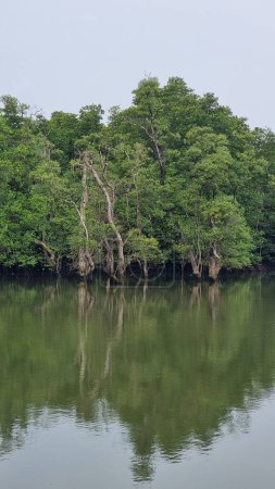 Ein ruhiger, idyllischer See inmitten eines üppig grünen Waldes, der eine malerische und ruhige Landschaft schafft. Chantaburi Thailand 