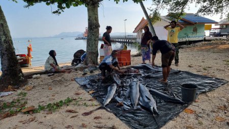 Foto de Koh Mook Tailandia 20 de enero de 2024, Una tribu de personas se encuentra en una playa de arena vendiendo peces grandes, unidos en su temor compartido y la apreciación de la impresionante belleza natural ante ellos. - Imagen libre de derechos