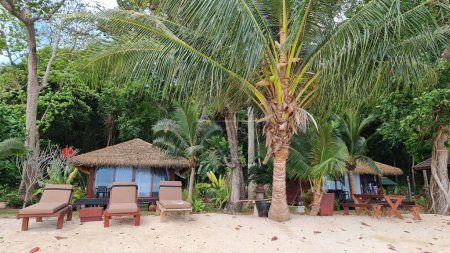 Téléchargez les photos : Une plage de sable avec des chaises longues éparpillées sous des palmiers oscillants, offrant une évasion sereine pour se détendre et profiter du soleil et du son des vagues de l'océan. Koh Kradan Thaïlande - en image libre de droit