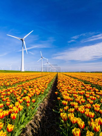 Foto de Un campo vibrante de tulipanes amarillos y rojos baila en la brisa primaveral, enmarcada por majestuosos molinos de viento en los Países Bajos Flevoland. turbinas de molino de viento energía verde, transición energética - Imagen libre de derechos