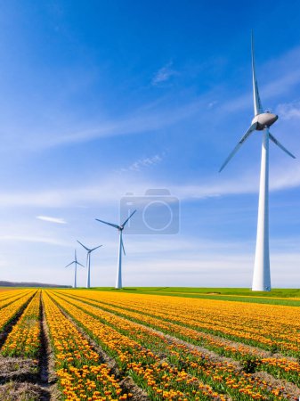A vibrant field of yellow tulip flowers swaying in the wind against a backdrop of majestic windmills in the Netherlands Flevoland during the spring season. green energy, eco friendly, earth day