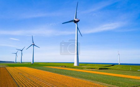 Eine riesige Weite grüner Feldfrüchte wiegt sich im Wind, Windmühlen ragen in der Ferne vor einem klaren blauen Himmel in Flevoland, Niederlande. Null Emissionen, CO2-neutral