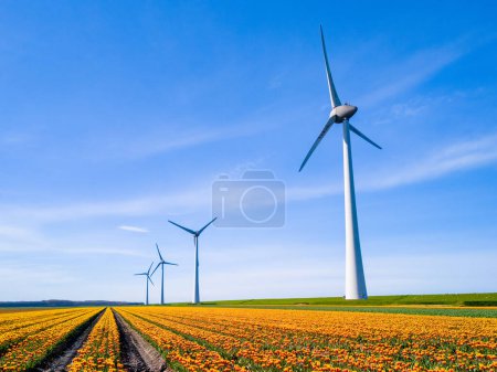 Foto de Parque de molinos de viento en un campo de flores de tulipán, vista aérea de aviones no tripulados de turbinas de molinos de viento que generan energía verde eléctricamente, en los Países Bajos. día de la tierra - Imagen libre de derechos