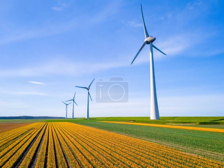 Téléchargez les photos : Parc éolien dans un champ de fleurs de tulipes, vue aérienne de drones d'éoliennes générant de l'énergie verte électriquement, aux Pays-Bas. - en image libre de droit