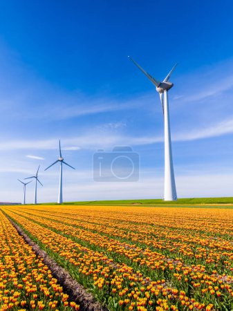Foto de Un vasto campo de vibrantes flores amarillas se balancea en la suave brisa, con majestuosos molinos de viento de pie en el fondo bajo un cielo azul claro. cero emisiones, carbono neutro, día de la tierra - Imagen libre de derechos