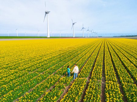 Hombres y mujeres en los campos de flores vistos desde arriba con un dron en los Países Bajos, campos de tulipanes en los Países Bajos durante la primavera, pareja diversa en el campo de flores de primavera