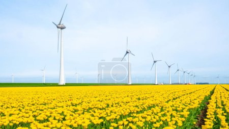 Photo for Windmill park with tulip flowers in Sprin, windmill turbines in the Netherlands Europe. windmill turbines in the Noordoostpolder Flevoland - Royalty Free Image