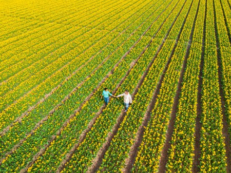 Foto de Hombres y mujeres en los campos de flores vistos desde arriba con un dron en los Países Bajos, campos de tulipanes en los Países Bajos durante la primavera, joven pareja diversa en el campo de flores de primavera - Imagen libre de derechos