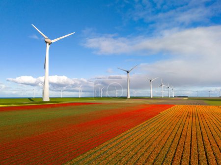 Foto de Parque de molinos de viento con flores de primavera y un cielo azul, vista de drones desde arriba parque de molinos de viento en los Países Bajos vista aérea con turbina de viento y flores de tulipán, energía verde, transición energética - Imagen libre de derechos