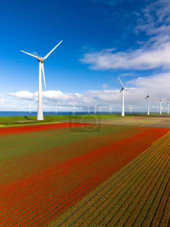 Téléchargez les photos : Parc éolien avec des fleurs de printemps et un ciel bleu, parc éolien aux Pays-Bas vue aérienne avec éolienne et champ de fleurs de tulipes Flevoland Pays-Bas, neutre en carbone, transition énergétique - en image libre de droit