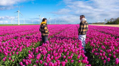 Téléchargez les photos : Un couple d'hommes et de femmes dans une mer de tulipes violettes sous le regard vigilant des éoliennes aux Pays-Bas au printemps. - en image libre de droit