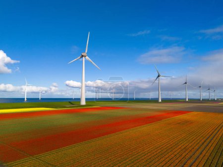 Windmühlenpark mit Frühlingsblumen und blauem Himmel, Drohnen-Luftaufnahme mit Windkraftanlage und Tulpenblumenfeld Flevoland Niederlande, Grüne Energie, Energiewende