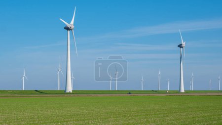 Téléchargez les photos : Un vaste champ d'herbe verte luxuriante s'étend au premier plan, tandis qu'un groupe de moulins à vent imposants tournent gracieusement au loin contre le ciel dégagé de Flevoland, Pays-Bas. - en image libre de droit