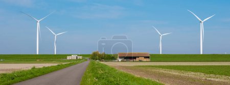 A road winds through a vast field, bordered by towering wind turbines in the background. The scene captures the harmony of nature and technology in motion. green energy Netherlands