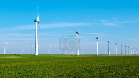 Eine Reihe majestätischer Windturbinen, die hoch oben auf einem saftigen, grünen Feld im niederländischen Flevoland stehen und die Kraft des Windes nutzen, um erneuerbare Energie zu erzeugen. Windkraftanlagen mit blauem Himmel