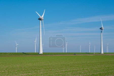 Téléchargez les photos : Un grand champ d'herbe verte s'étend, avec de nombreux moulins à vent dominant en arrière-plan, leurs lames tournant dans le vent. éoliennes aux Pays-Bas - en image libre de droit
