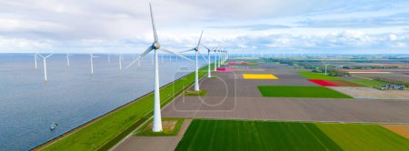 An aerial view of wind turbines standing gracefully near the ocean, harnessing the power of the wind to generate renewable energy. with spring tulip flowers in the Noordoostpolder Netherlands