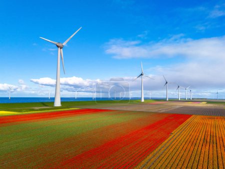 windmill park with spring flowers, windmill park in the Netherlands with wind turbine and tulip flower field Flevoland Netherlands, Green energy, energy transition, carbon neutral, Earth day