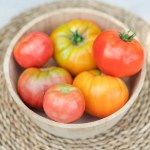fresh red tomatoes in a basket on a white background