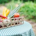 picnic basket with fresh vegetables and fruits on the background of the garden