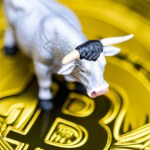 A bull on a Bitcoin