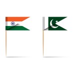India and Pakistan paper national flags in the form of a pin on a wooden stick with a toothpick, isolated on a white background. Burger flag design mockup, realistic 3D vector small object.