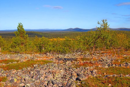 Téléchargez les photos : Tankavaara, the Urho Kekkonen National Park. It is one of the major national park in Lapland, Finland - en image libre de droit