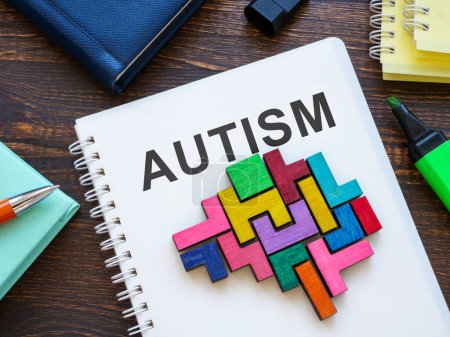 Un livre sur l'autisme et le cerveau fait de cubes colorés.