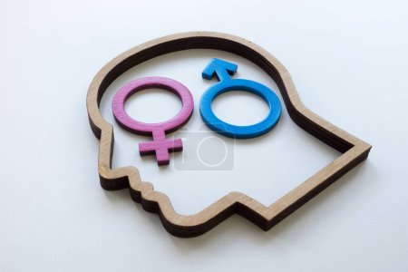 Heteronormativity concept. Wooden head and gender signs.
