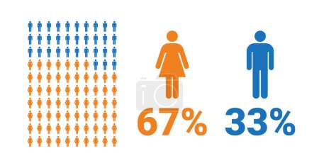 Illustration for 67% female, 33% male comparison infographic. Percentage men and women share. Vector chart. - Royalty Free Image
