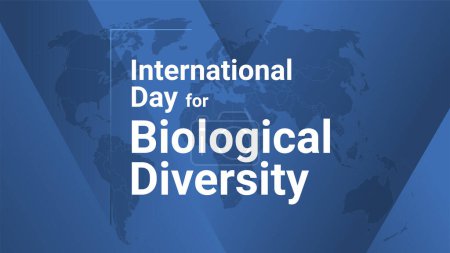 Carte de vacances Journée internationale de la diversité biologique. Affiche avec carte de la terre, fond bleu dégradé lignes, texte blanc. Bannière design de style plat. Illustration vectorielle.