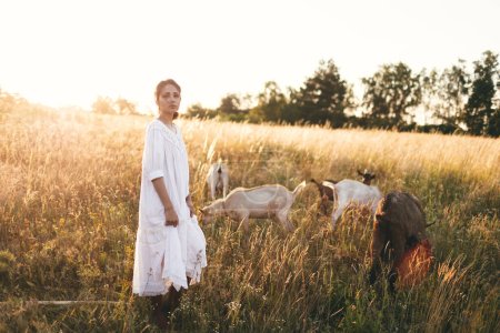 Foto de Mujer joven en vestido blanco está caminando con cabras en el prado al atardecer. Atractiva agricultora alimentando a sus cabras en su pequeña granja orgánica. - Imagen libre de derechos