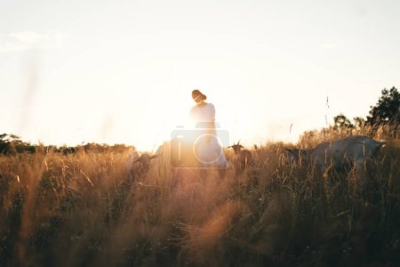 Téléchargez les photos : Jeune femme en robe blanche marche avec des chèvres sur la prairie au coucher du soleil. Fermière attirante nourrissant ses chèvres dans sa petite exploitation biologique. - en image libre de droit