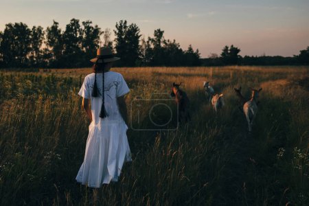 Foto de Una joven en el campo camina con cabras. La chica y las cabras en el prado en verano. Amor por los animales. Granja de cabras. Mascotas. Mujer feliz con animal. Amabilidad y amor por los animales - Imagen libre de derechos
