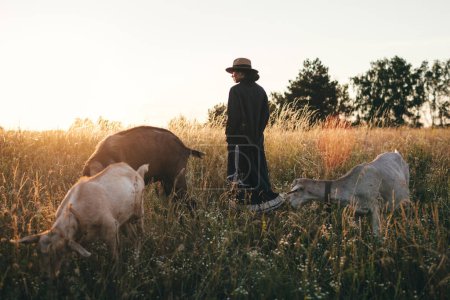 Téléchargez les photos : Une jeune femme sur le terrain broute ses chèvres blanches. La fille et les chèvres dans la prairie en été. L'amour pour les animaux. Une ferme de chèvres. Les animaux. Une femme heureuse avec un animal. Bonté et amour pour les animaux. Embrasse un animal - en image libre de droit
