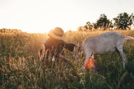 Téléchargez les photos : Une jeune femme sur le terrain broute ses chèvres blanches. La fille et les chèvres dans la prairie en été. L'amour pour les animaux. Une ferme de chèvres. Les animaux. Une femme heureuse avec un animal. Bonté et amour pour les animaux. Embrasse un animal - en image libre de droit