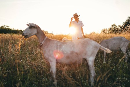 Photo for Trendy girl in stylish summer dress feeling free in the field. The goat in front of her. Sunset or sunrise time. Well-being and Zen as outdoor meditation. To love life. - Royalty Free Image