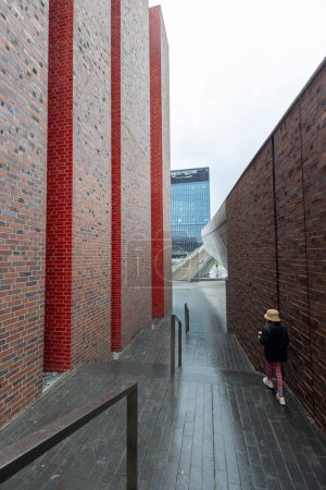Téléchargez les photos : Une vue arrière de la fille descendant les escaliers modernes en plein air - en image libre de droit