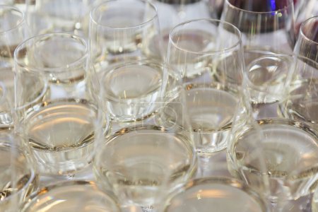 Photo for Glasses with white wine. Catering services. Glasses with wine in row background at restaurant party. Shallow dof. - Royalty Free Image