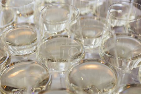 Photo for Glasses with white wine. Catering services. Glasses with wine in row background at restaurant party. Shallow dof. - Royalty Free Image