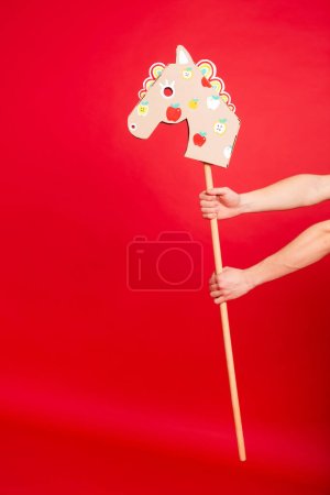 Photo for Stick horse, hobby horse. Equestrian sports or Equestrian equipment. - Royalty Free Image