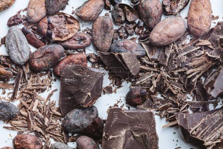 Foto de Frijoles de cacao con chocolate sobre fondo blanco. Shalllow dof. Vista superior - Imagen libre de derechos