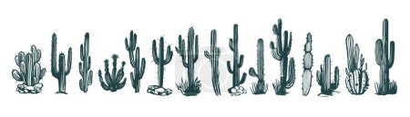 Illustration for Cactus set hand drawn illustrations, vector - Royalty Free Image