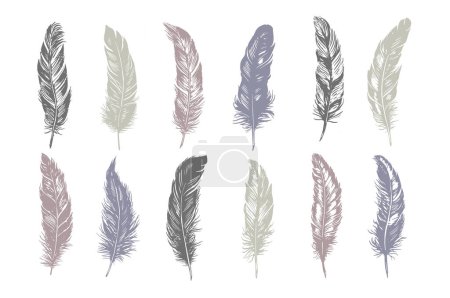 Illustration for Hand drawn feather on white background - Royalty Free Image