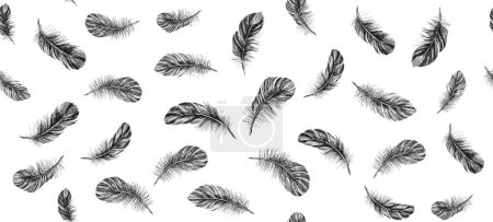 Illustration for Feathers. Hand drawn sketch illustrations. - Royalty Free Image