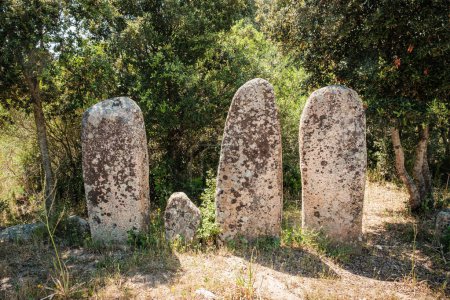 Menhire von Palaggiu, eine große Gruppe prähistorischer stehender Steine im Süden der Insel Korsika