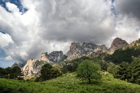 Die Aiguilles de Bavella, nadelförmige felsige Berggipfel umgeben von Kiefernwäldern und Macchia im Zentrum von Korsika