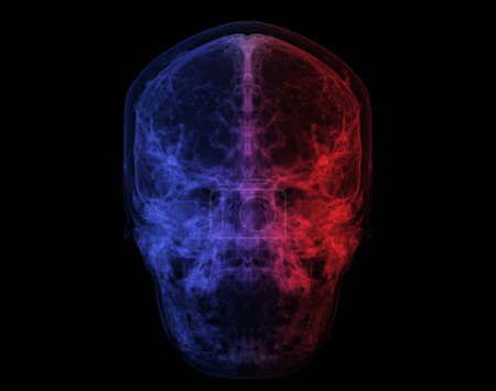Photo for Human Skull, Brain by CT Scan. X-ray Visualization Inside Of Skull. 3D Illustration Render Colorful mode. - Royalty Free Image