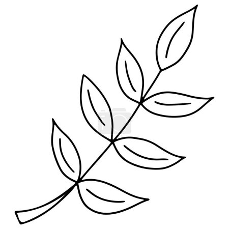Leaf Illustration on White Background. Leaf Image in Line Art Style. Coloring Page for Kids. Black and White Coloring Book.